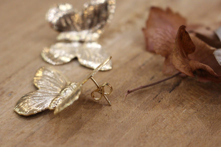 Boucles d'oreilles BEGUIN