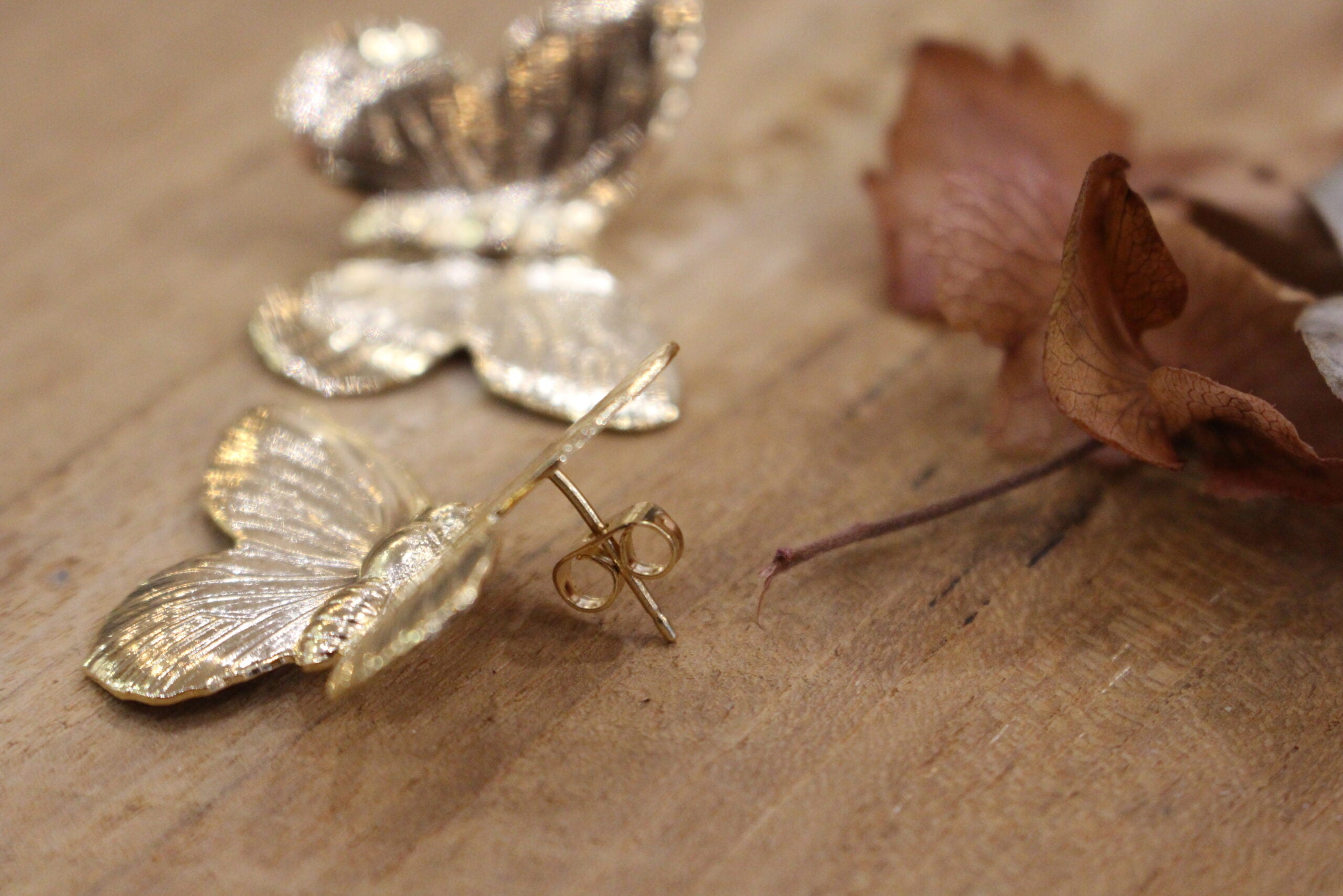 Boucles d'oreilles BEGUIN