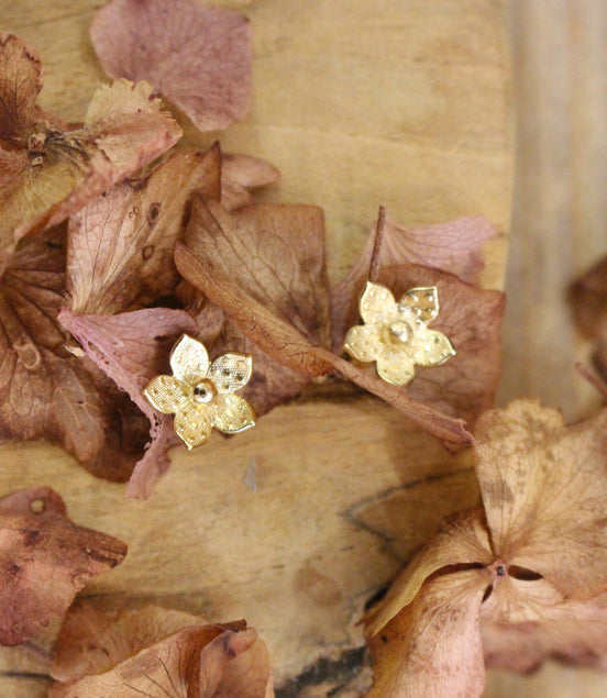 Boucles d'oreilles puce RENOUVEAU
