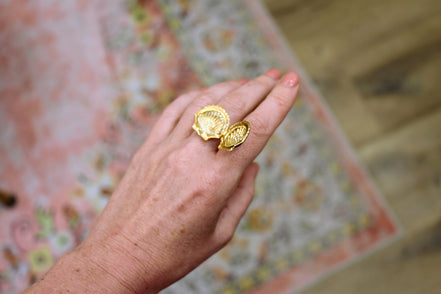 Bague CHEMIN ( boîte coquille st jaques )