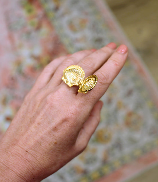 Bague CHEMIN ( boîte coquille st jaques )