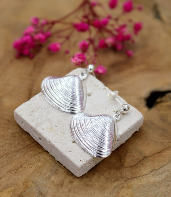 boucles d'oreilles coquillages palourde argenté