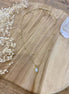 image00003.jpeg