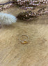 image00019.jpeg
